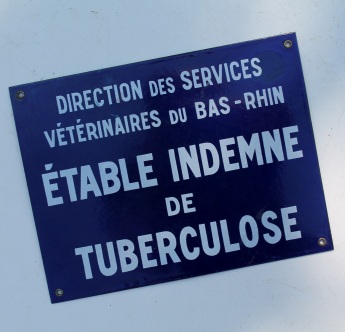 Emaljeskilt Étable Indemne de Tuberculose
