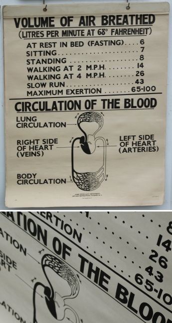 WW2 : Antigas Instructional Diagram : Mængden af Indåndingsluft