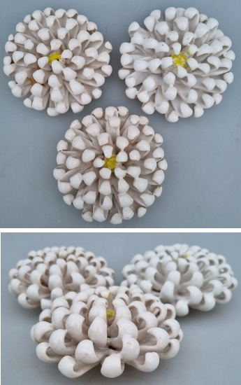 Chrysanthemum Keramik