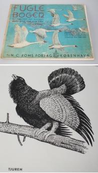 Fuglebogen af N. Norvil - På strejfog med tegneren Jorden rundt e